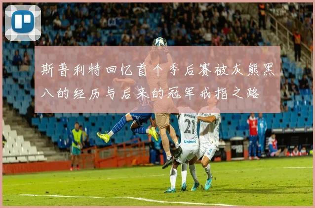 斯普利特回忆首个季后赛被灰熊黑八的经历与后来的冠军戒指之路
