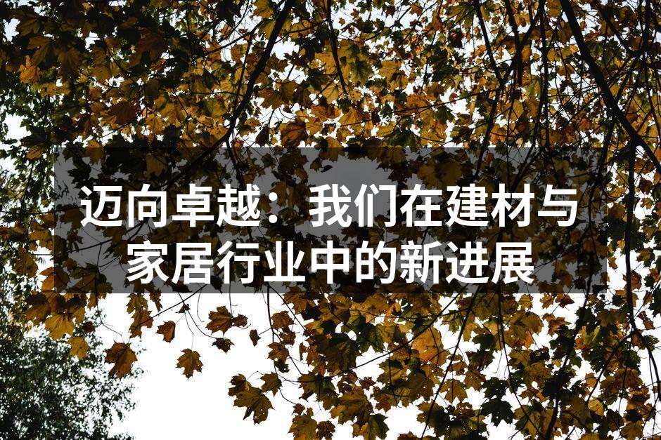 迈向卓越：我们在建材与家居行业中的新进展